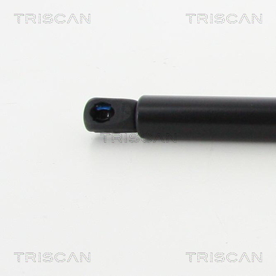 Triscan Gasveer, kofferruimte 8710 40242