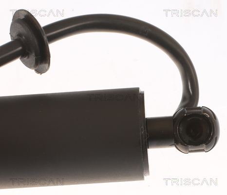 Triscan Gasveer, kofferruimte 8710 43301