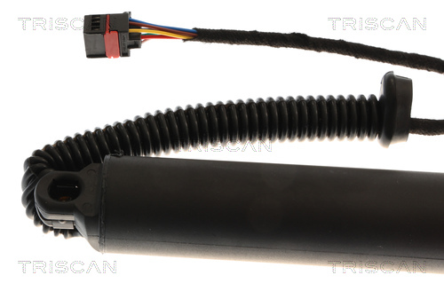Triscan Gasveer, kofferruimte 8710 43313