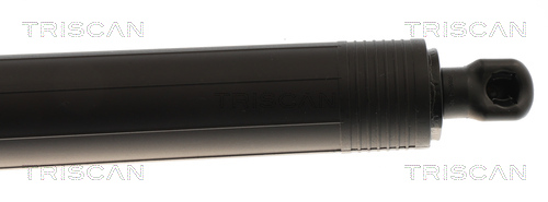 Triscan Gasveer, kofferruimte 8710 43313