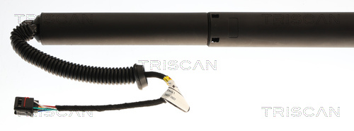 Triscan Gasveer, kofferruimte 8710 43313