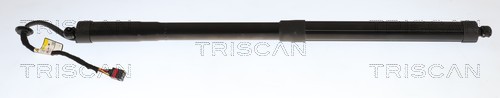 Gasveer, kofferruimte Triscan 8710 43315