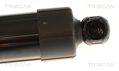 Triscan Gasveer, kofferruimte 8710 43315