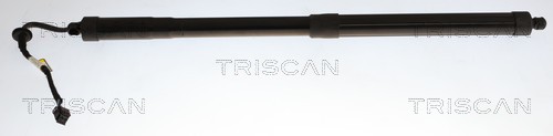 Triscan Gasveer, kofferruimte 8710 43316