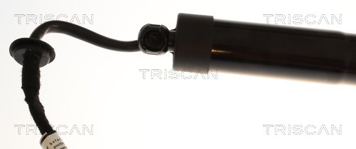 Triscan Gasveer, kofferruimte 8710 43316
