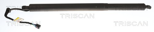 Triscan Gasveer, kofferruimte 8710 43317
