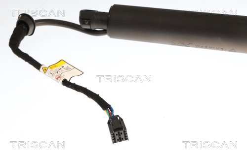 Triscan Gasveer, kofferruimte 8710 43317