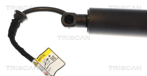 Triscan Gasveer, kofferruimte 8710 43317