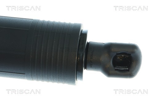 Triscan Gasveer, kofferruimte 8710 43317
