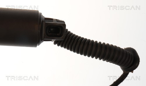 Triscan Gasveer, kofferruimte 8710 43318