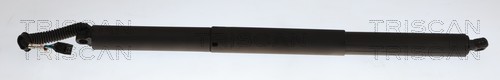 Triscan Gasveer, kofferruimte 8710 43319