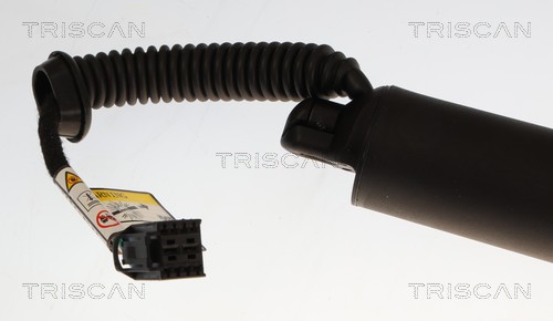 Triscan Gasveer, kofferruimte 8710 43319