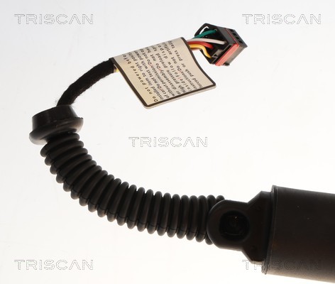 Triscan Gasveer, kofferruimte 8710 43319