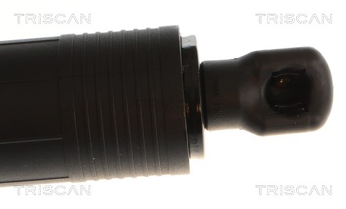 Triscan Gasveer, kofferruimte 8710 43319