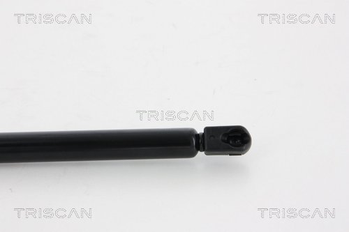 Triscan Gasveer, kofferruimte 8710 66207