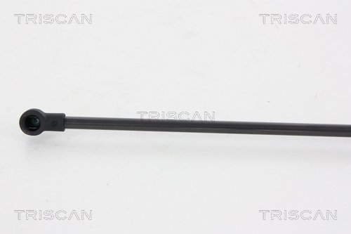 Triscan Gasveer, kofferruimte 8710 66207