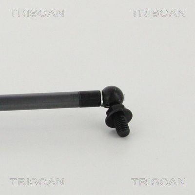 Triscan Gasveer, kofferruimte 8710 68222