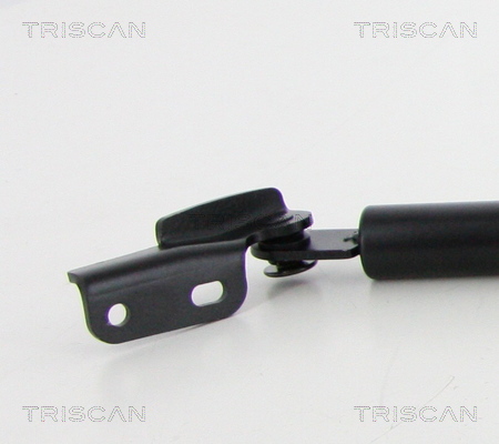Triscan Gasveer, kofferruimte 8710 68223