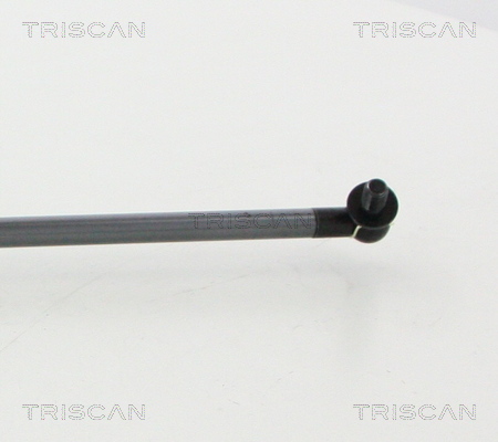 Triscan Gasveer, kofferruimte 8710 68223