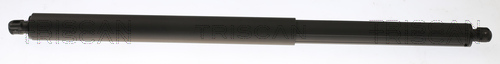 Gasveer, kofferruimte Triscan 8710 81202