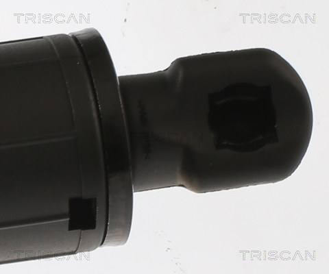 Triscan Gasveer, kofferruimte 8710 81202