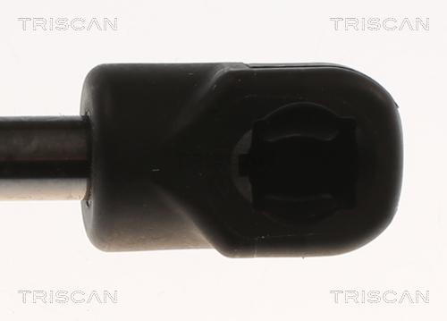 Triscan Gasveer, kofferruimte 8710 82001