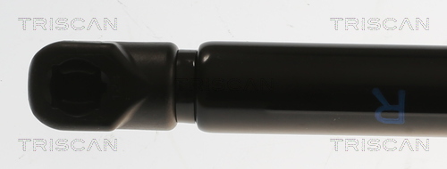 Triscan Gasveer, kofferruimte 8710 82002