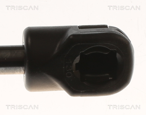 Triscan Gasveer, kofferruimte 8710 82004