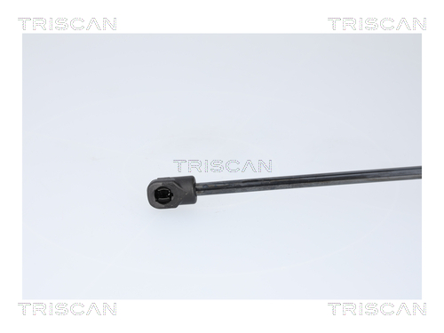 Triscan Gasveer, kofferruimte 8710 82008