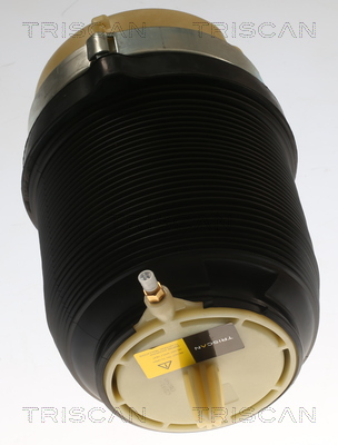 Triscan Luchtvering, chassis 8720 29202