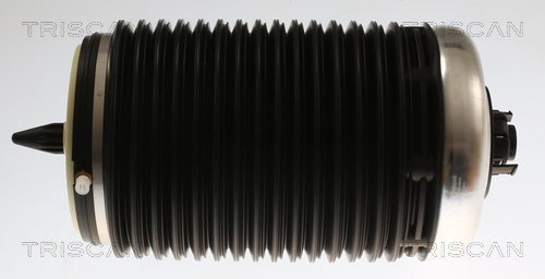 Triscan Luchtvering, chassis 8720 29203