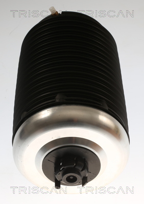 Triscan Luchtvering, chassis 8720 29203