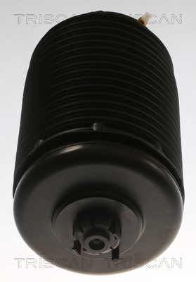 Triscan Luchtvering, chassis 8720 29204