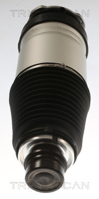 Triscan Luchtvering, chassis 8720 81101