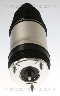 Triscan Luchtvering, chassis 8720 81101