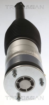 Triscan Luchtvering, chassis 8720 81201