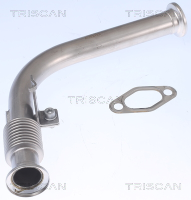 Triscan EGR-klep 8811 23000
