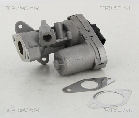 Triscan EGR-klep 8813 10002