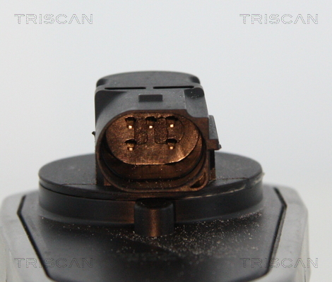 Triscan EGR-klep 8813 10002