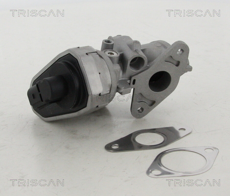 Triscan EGR-klep 8813 10002