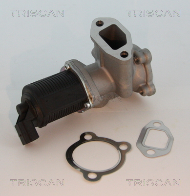 Triscan EGR-klep 8813 10003