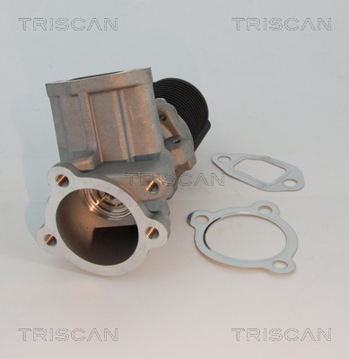 Triscan EGR-klep 8813 10003