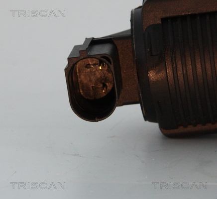 Triscan EGR-klep 8813 10005