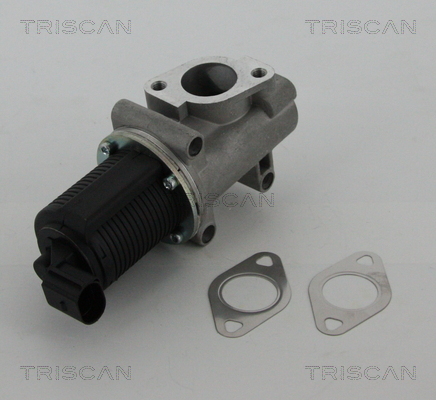 Triscan EGR-klep 8813 10005