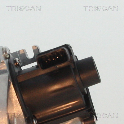 Triscan EGR-klep 8813 10007