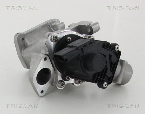 Triscan EGR-klep 8813 10007