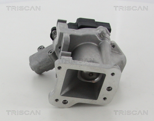 Triscan EGR-klep 8813 10007