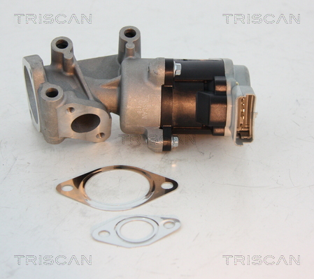 Triscan EGR-klep 8813 10008