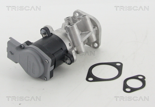 Triscan EGR-klep 8813 10009