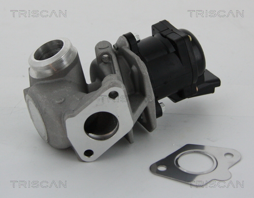 Triscan EGR-klep 8813 10010